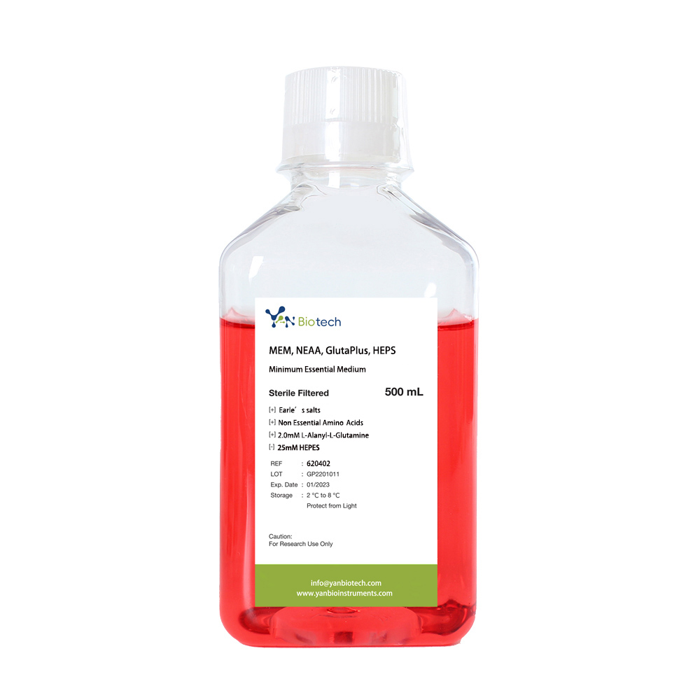 The Complete Guide to Cell Culture Media: From Basics to Advanced Optimization
