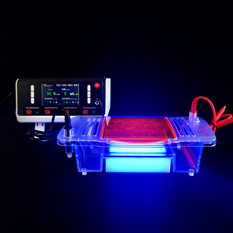 Is there a difference between TAE and TBE buffers for agarose gel electrophoresis?