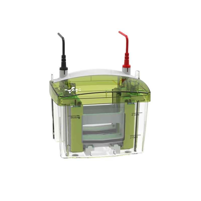 Electrophoresis System