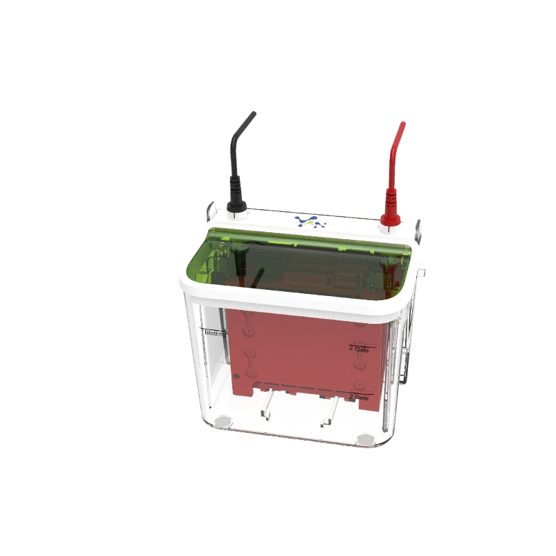 Transfer Electrophoresis Tank