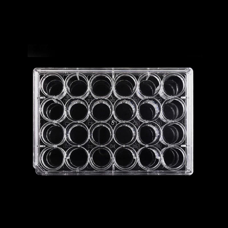 24 Well Cell Culture Plate
