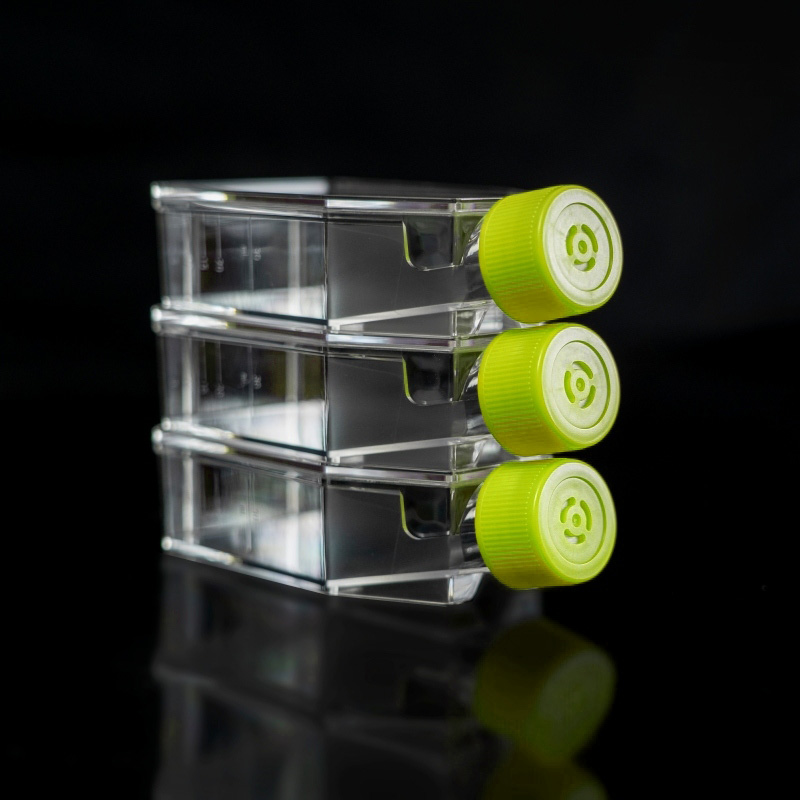 T25 Cell Culture Flask