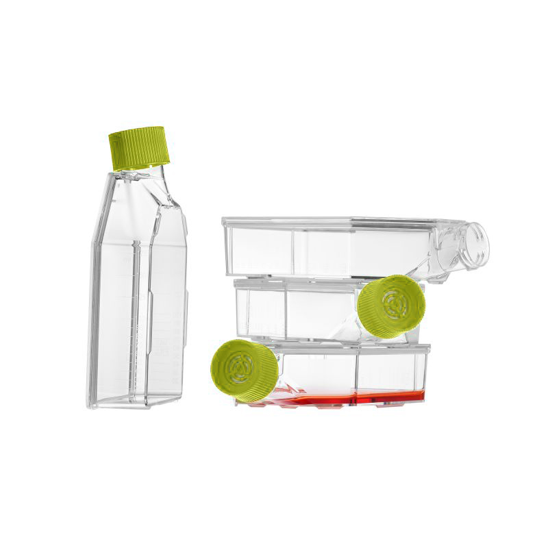Cell Culture Flask