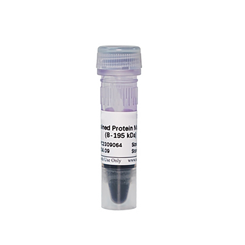 Prestain Protein Marker