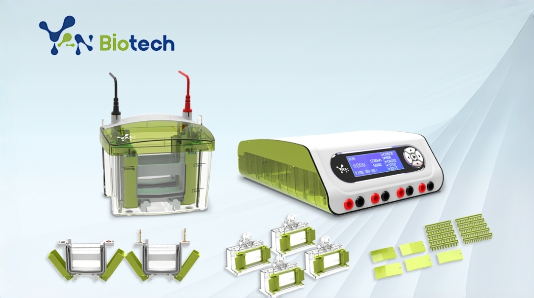 Electrophoresis Power Supply Electrophoresis Power Supply