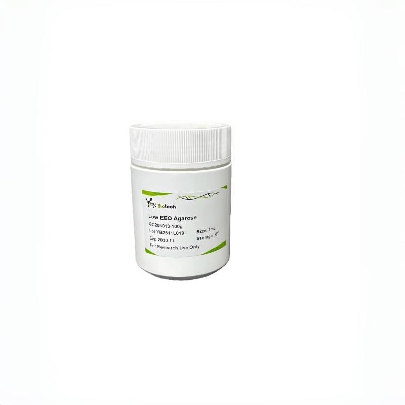Low EEO Agarose Gel for Separation