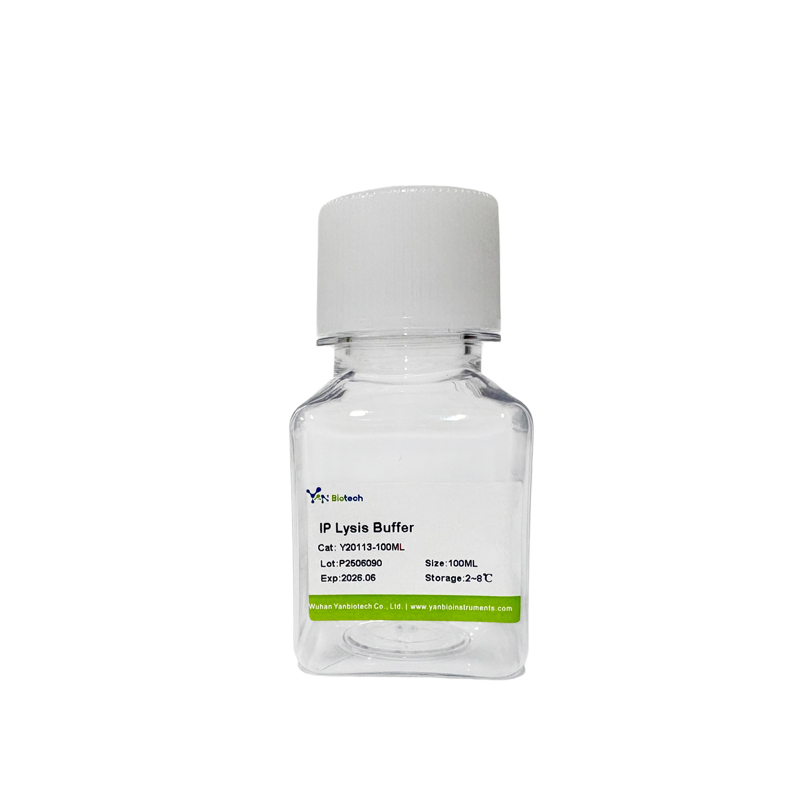 IP Lysis Buffer for Animal Plant Cell, Fungal Bacterial Samples